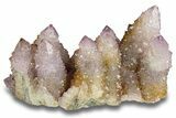 Sparkling Cactus Amethyst Crystal Cluster - South Africa #301879-1